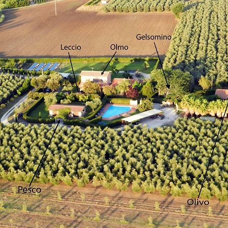 Podere Campi Al Mare Donoratico Kültér fotó