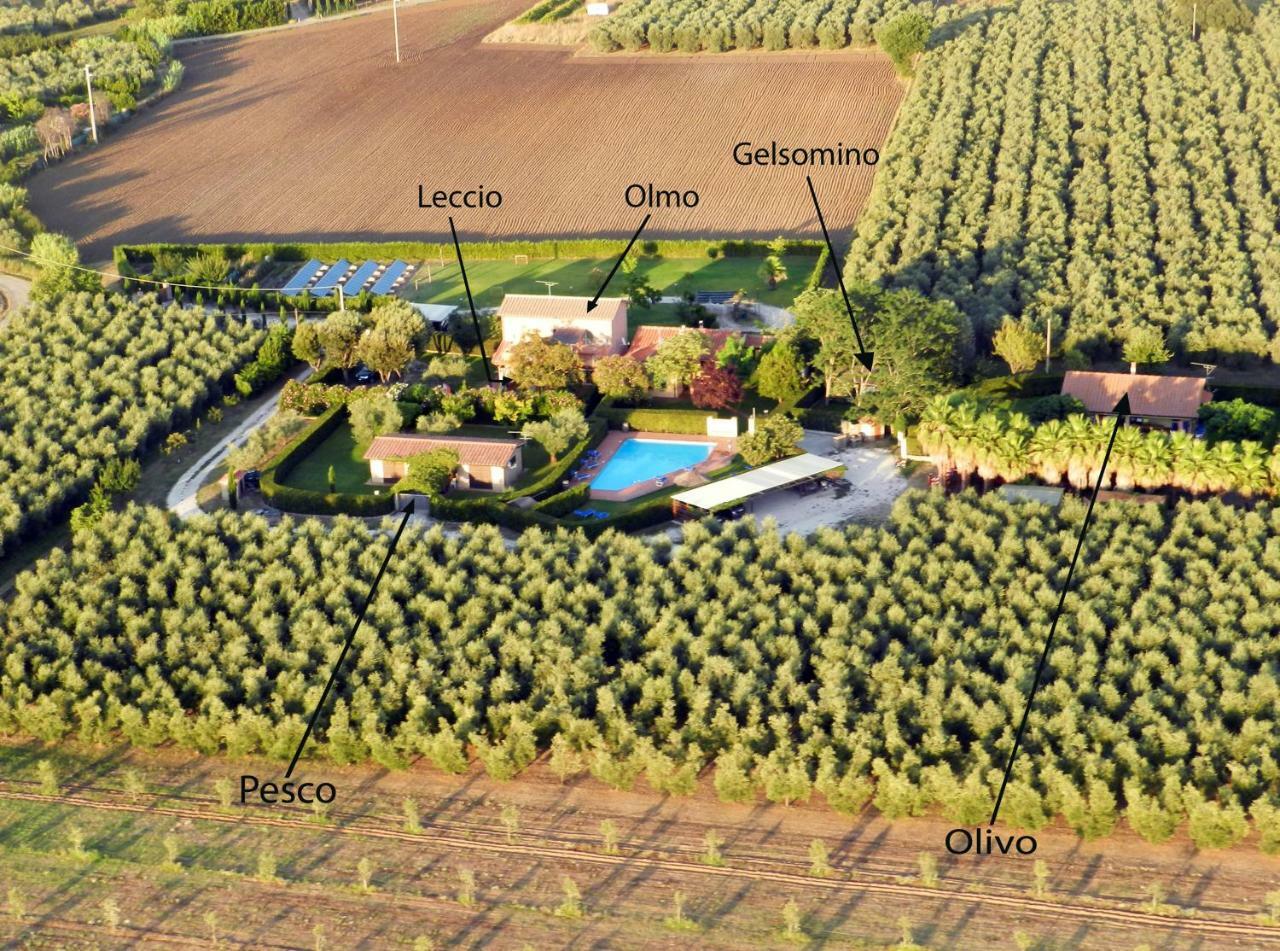 Podere Campi Al Mare Donoratico Kültér fotó